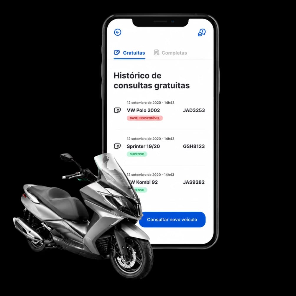 Mockup do relatório de histórico veicular, mostrando a placa consultada, o status e o resultado